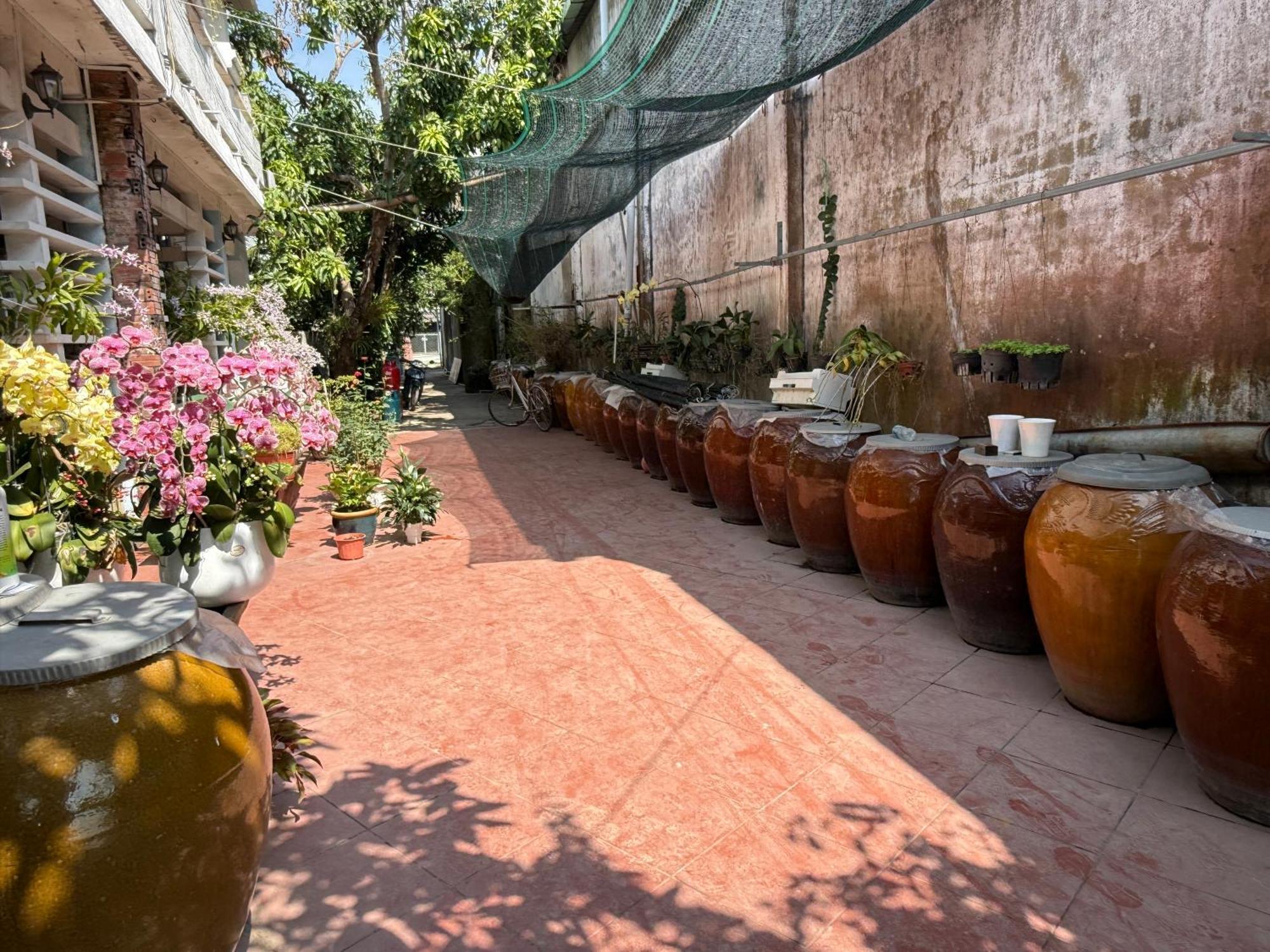 Island Homestay Tien Giang Ми Тхо Екстериор снимка